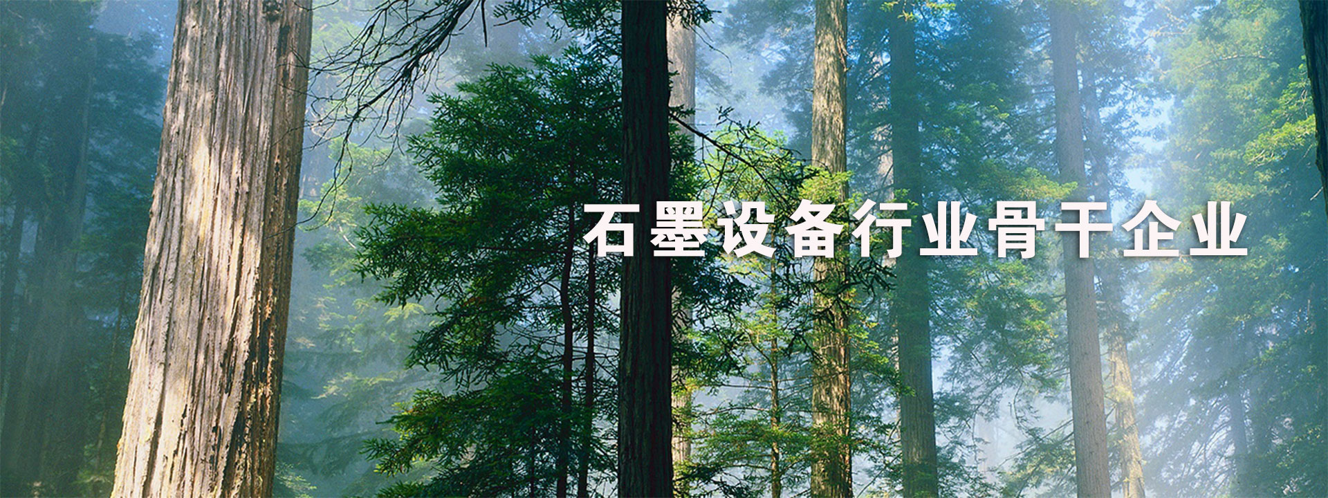 概況