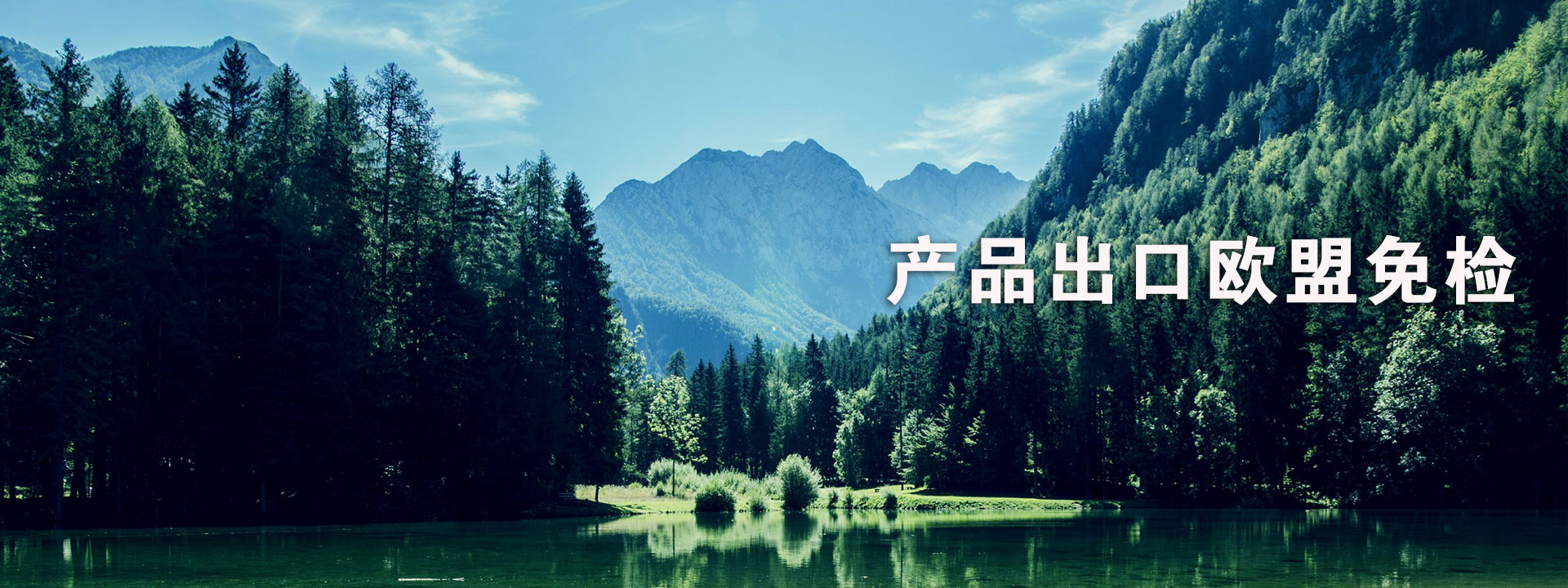 百裕校園時(shí)代